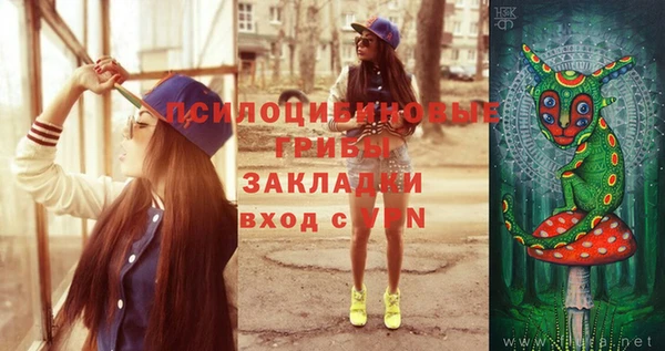 2c-b Богданович